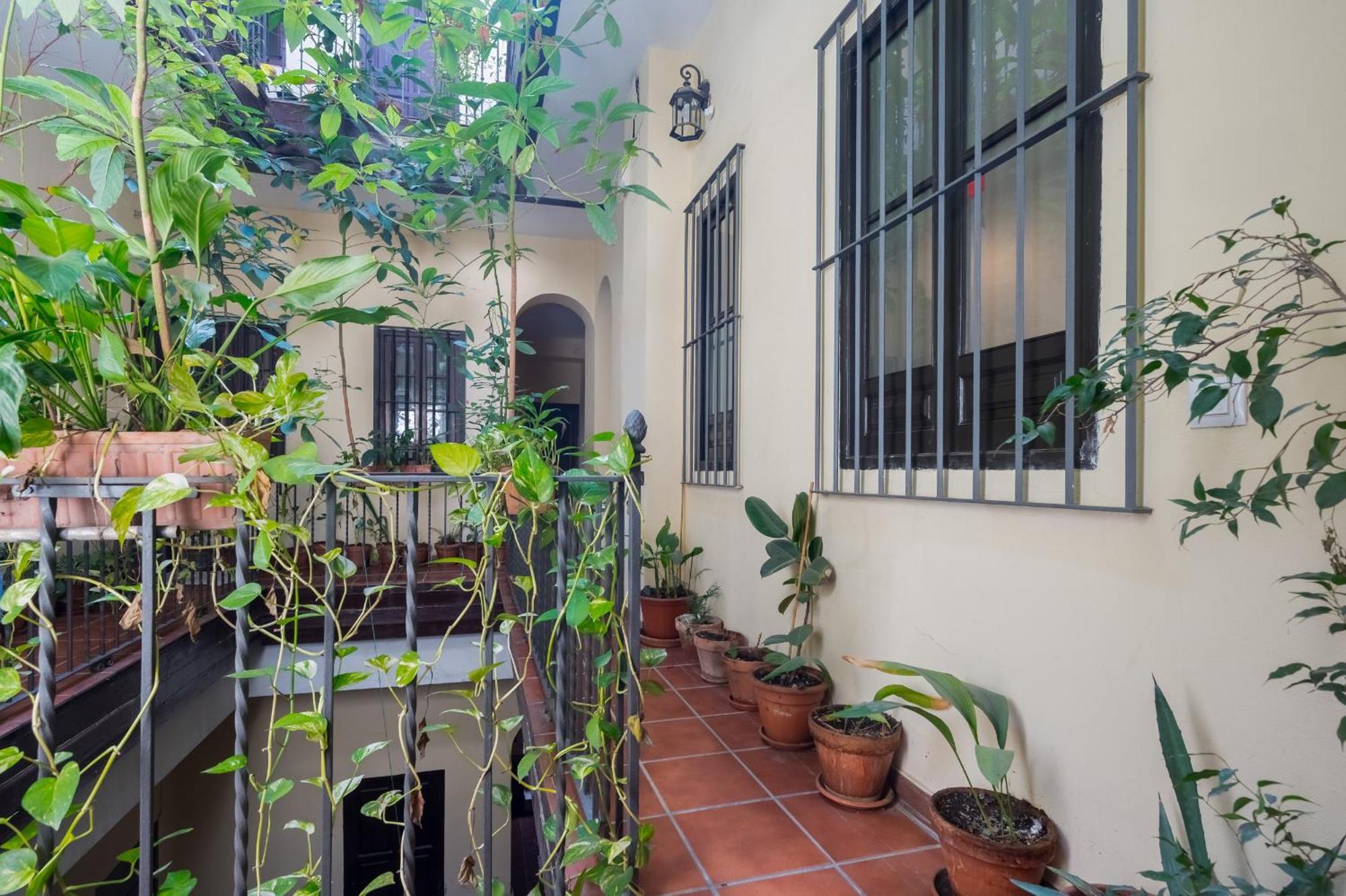 Appartement Plaza San Marcos *
