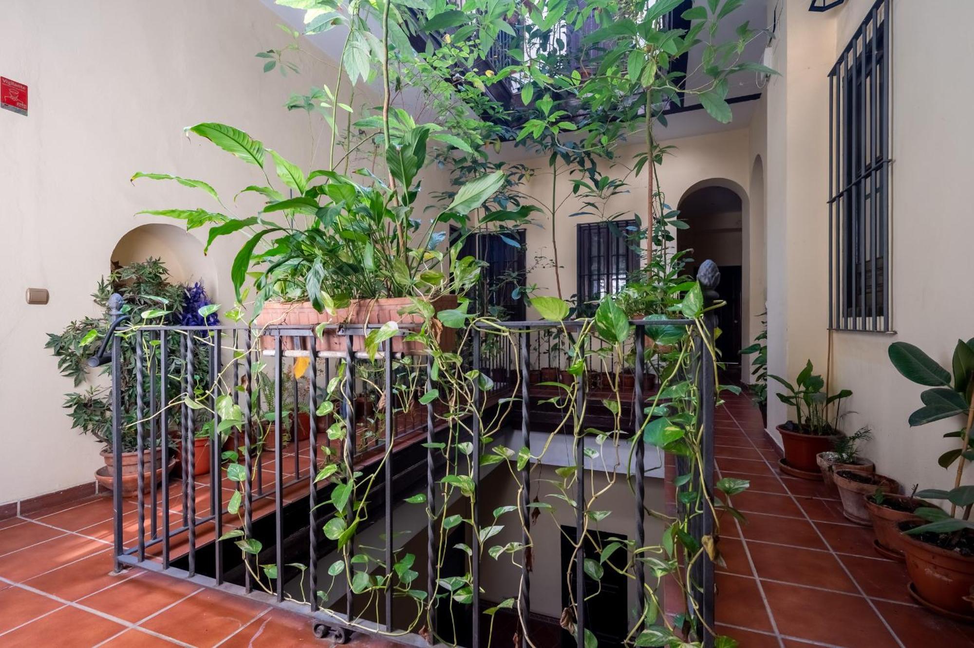 Plaza San Marcos Appartement